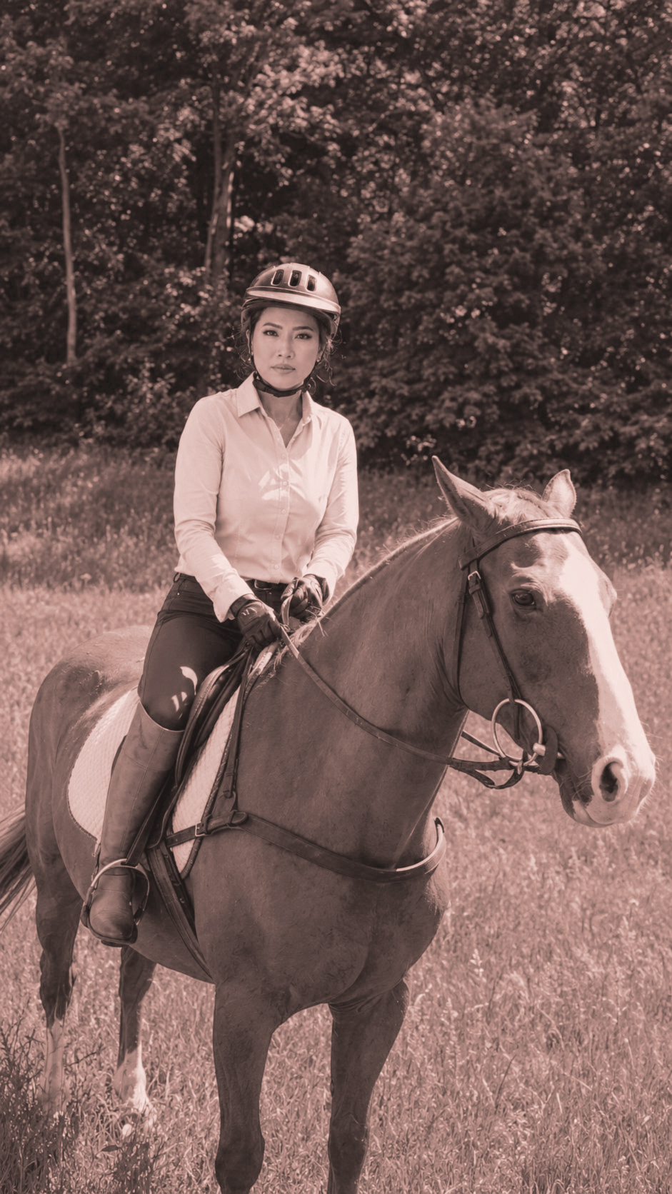 Plate four: a rider in a helmet and riding gear seated on a chestnut horse in a green field.